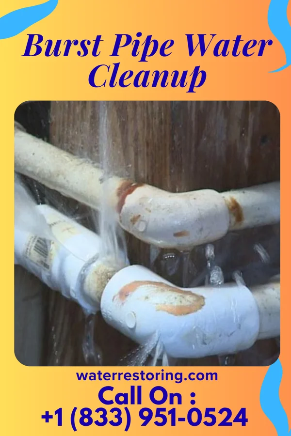 Burst Pipe Water Cleanup in Deerfield, IL