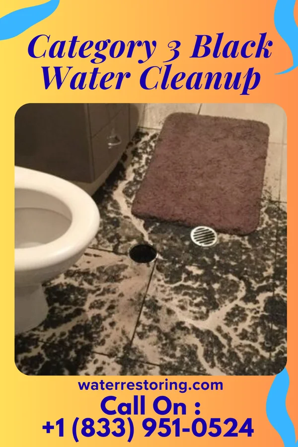Category 3 Black Water Cleanup in Deerfield, IL